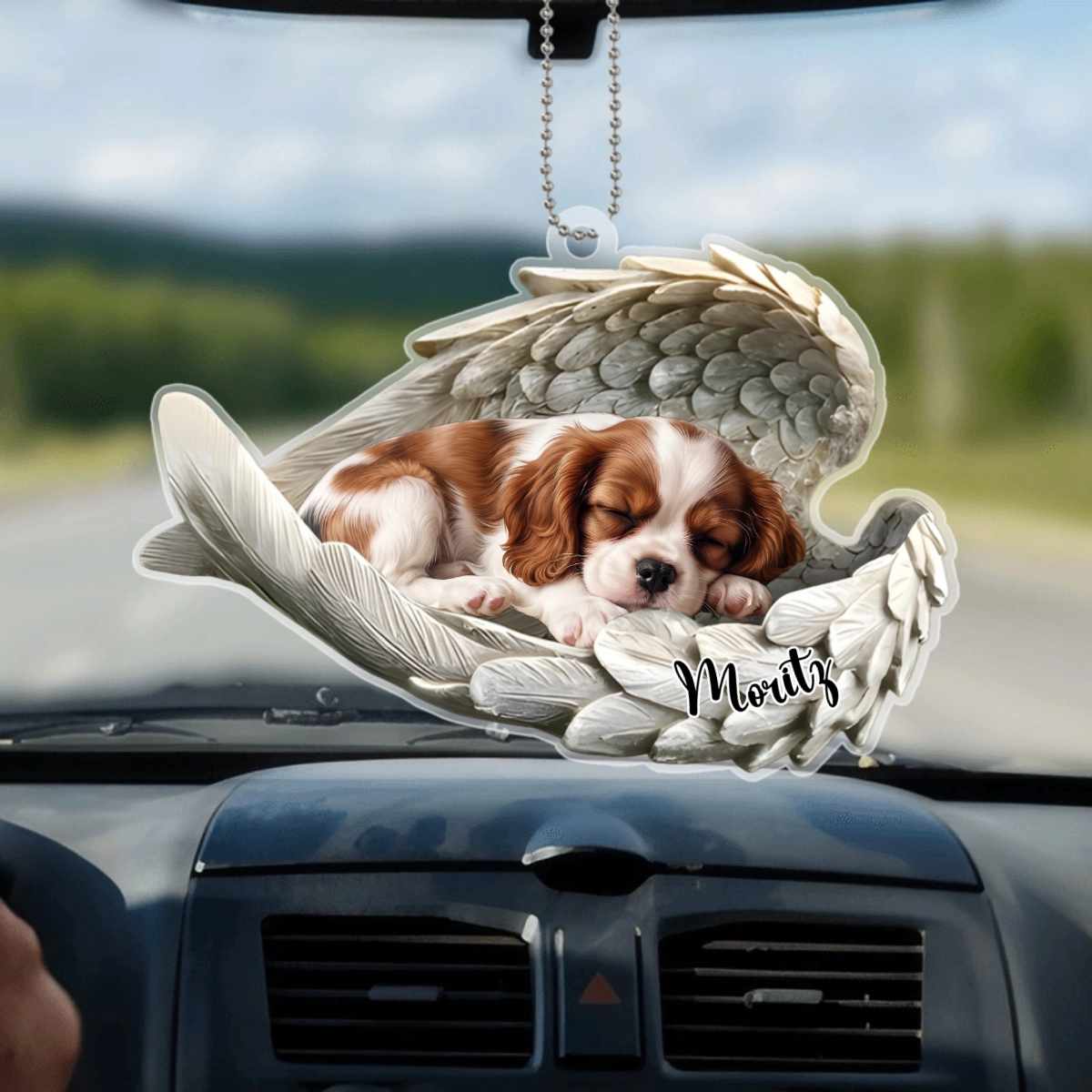 HaustierErinnerungsfotoMitEngelsflugeln_PersonalisierterAutoanhanger1