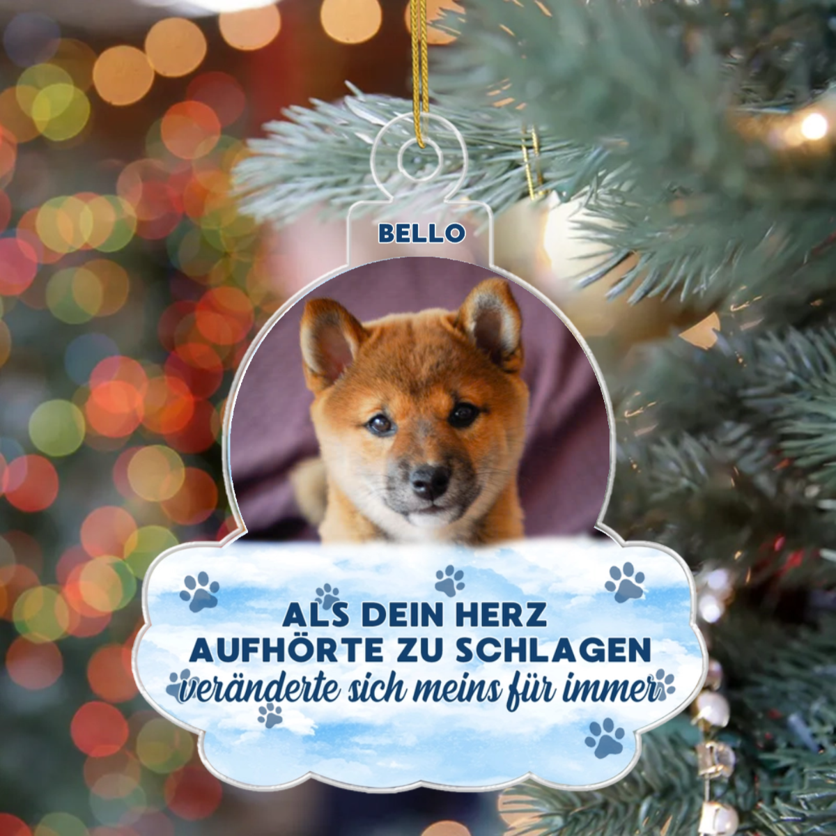 download_1_21236369 2d52 4bd2 b424 dab92e4c0865