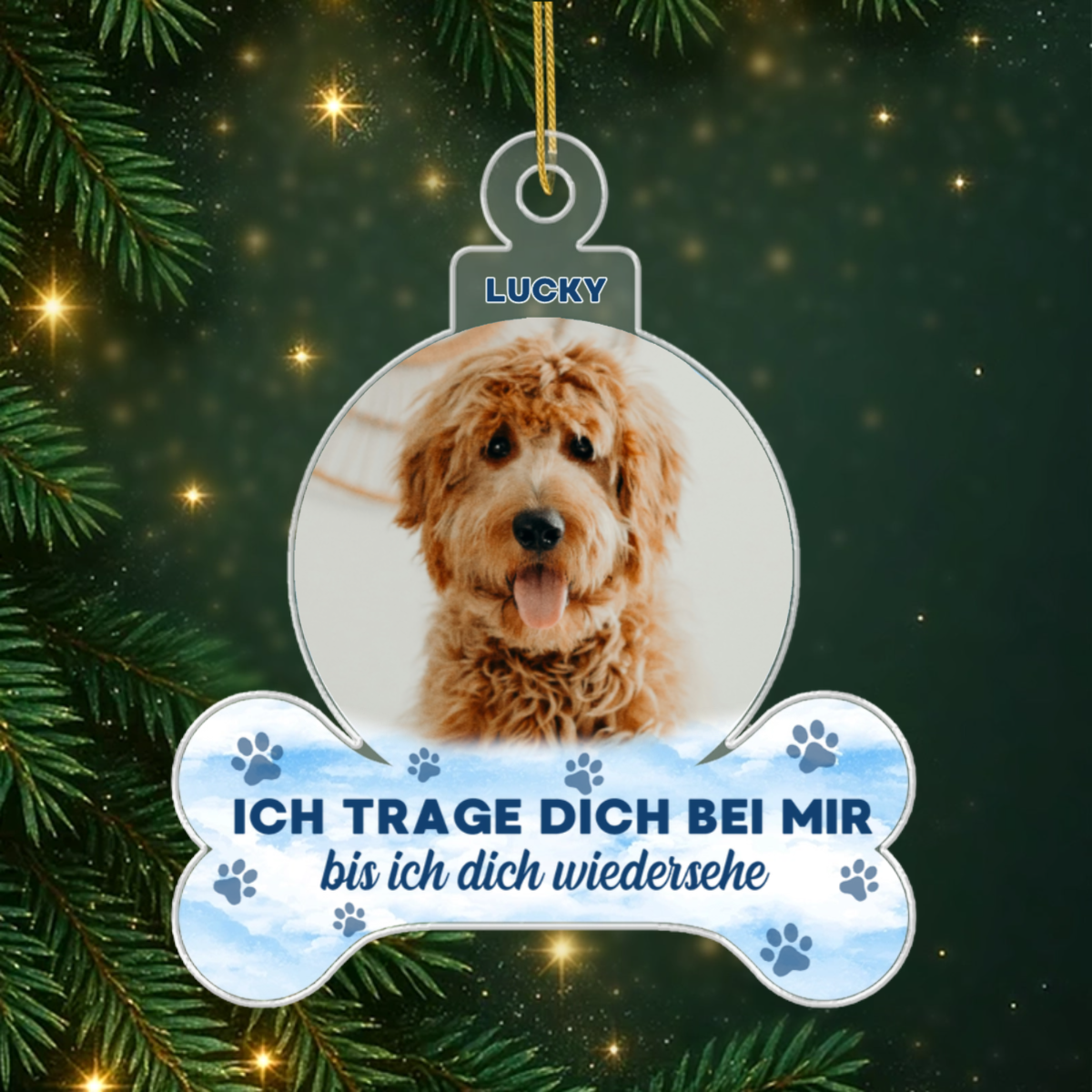 download_3_064661d1 ea54 4a1b a0ae 70e60cd5711c