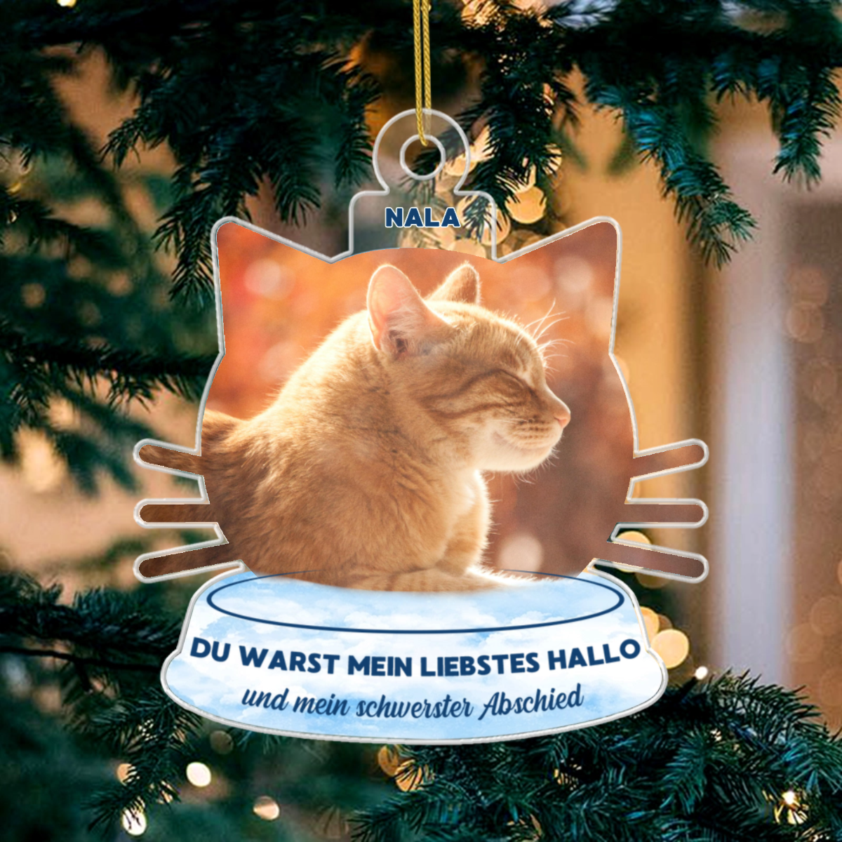 download_a9f3f3d7 7436 482d 8a58 17613ac9b984