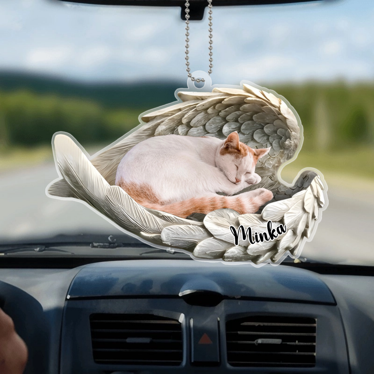 HaustierErinnerungsfotoMitEngelsflugeln_PersonalisierterAutoanhanger2